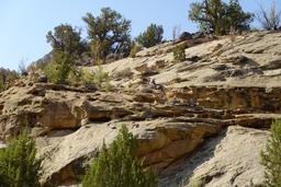 Not so sure [sat aug 30 08:39:10 mdt 2025]